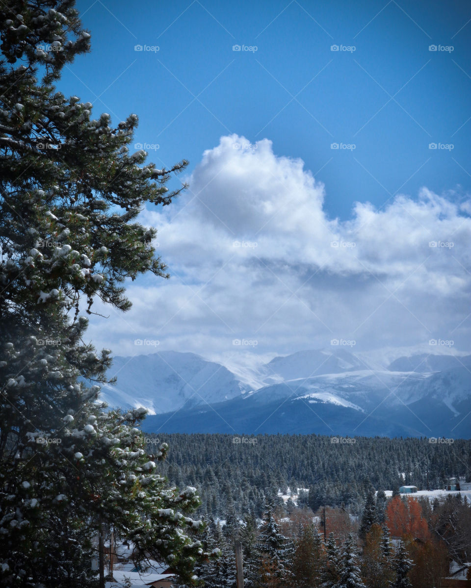 Forested valley and mountains on a cloudy day.