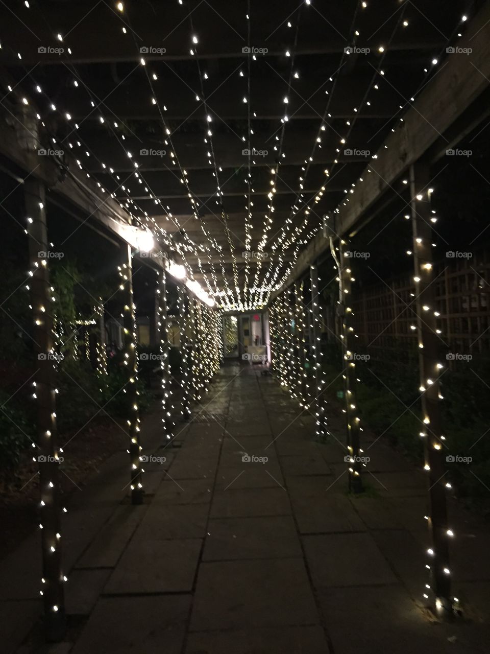 Outdoor walkway at night lit by white twinkle string lights.