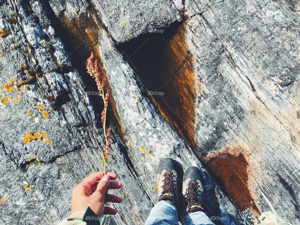 Climb, Nature, Outdoors, Rope, Desktop