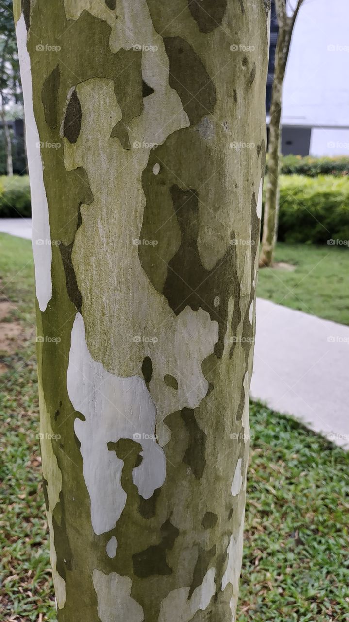 Camouflage