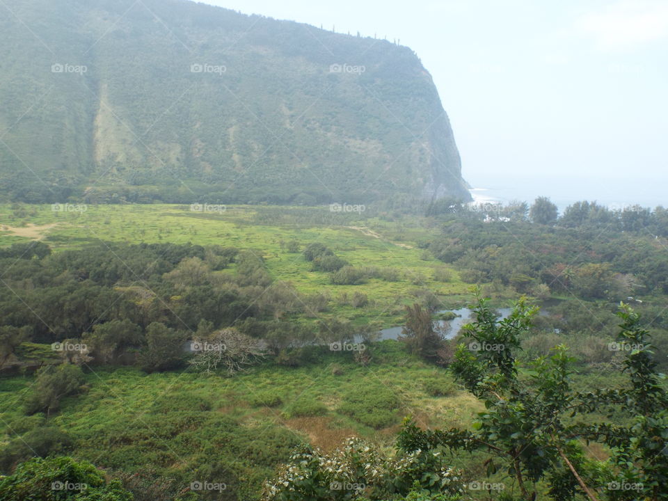 Inside the Waipio valley