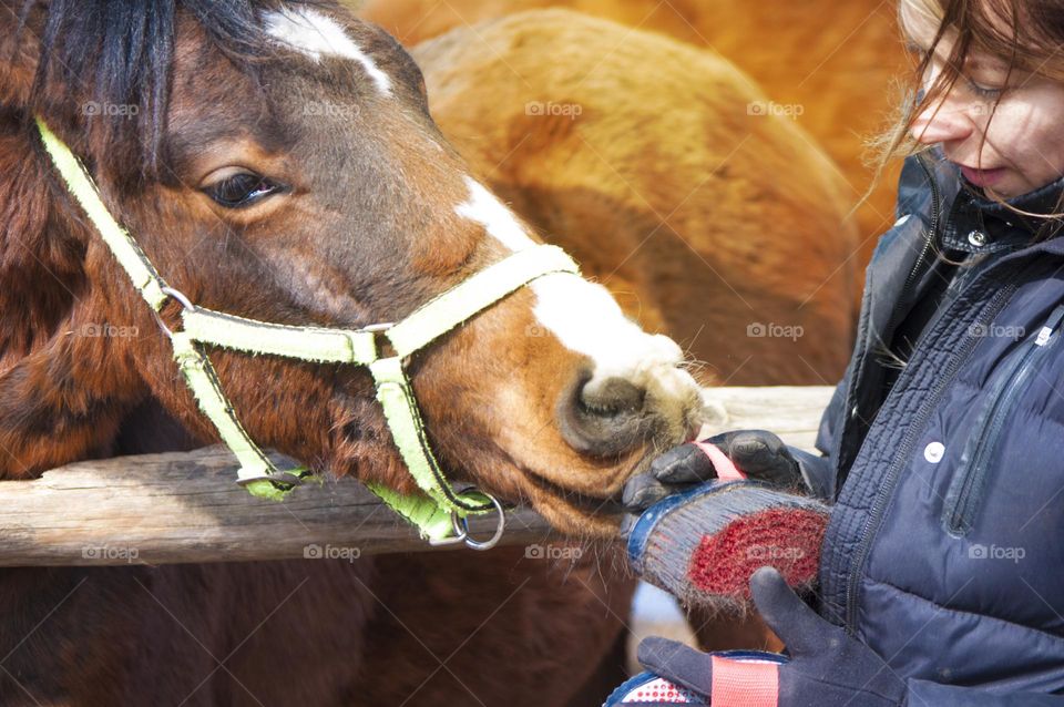 man feeding a horse