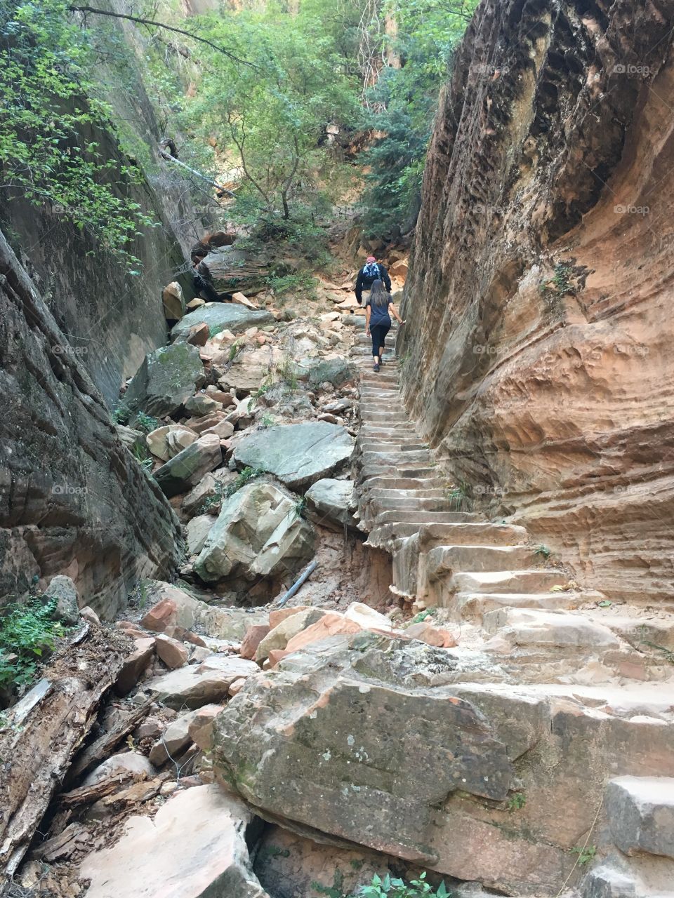 Hiking Zion
Zion National Park, Utah 