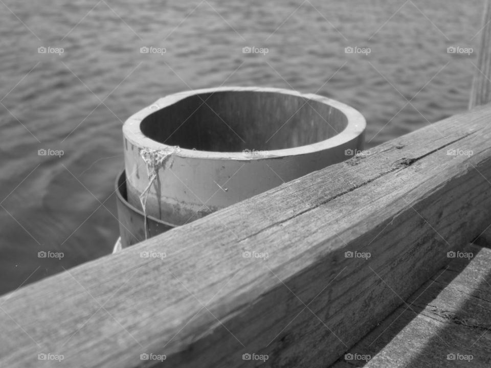 Just finding cool things to take pictures of