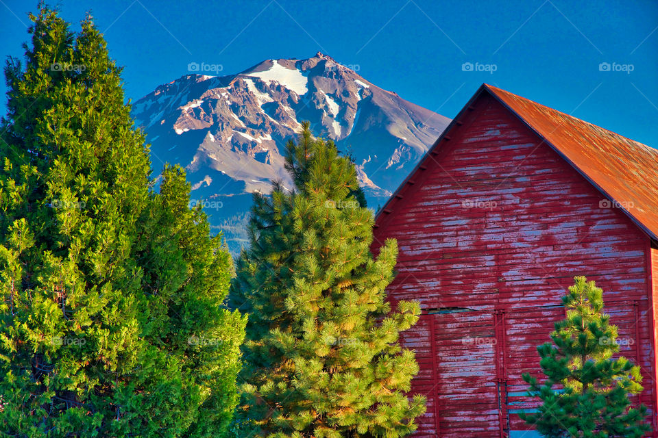 Mount Shasta from McCloud