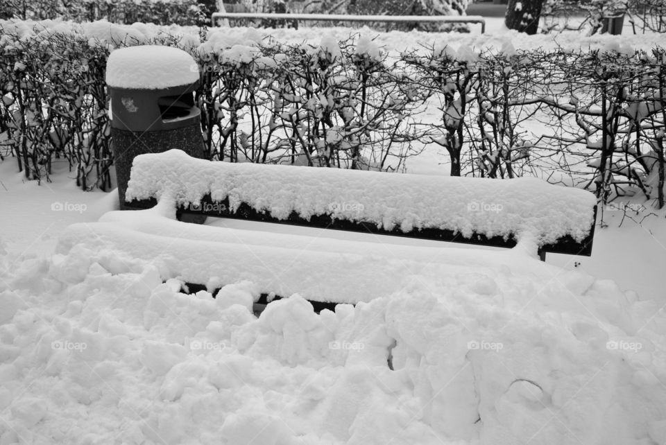 Bench under snow
