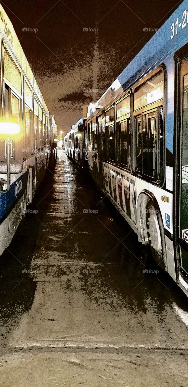 Montreal city bus