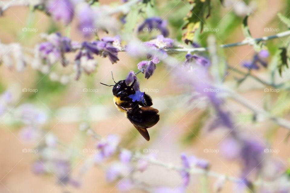 George Washingtons boyhood home