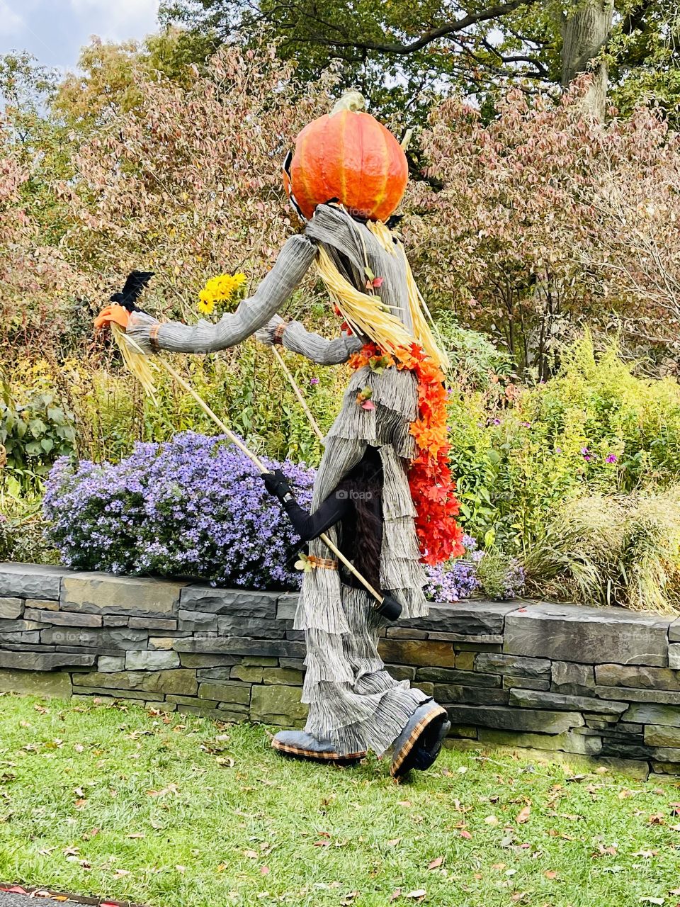 Halloween- This gangly Mr Pumpkin head strides spookily up the hill. 