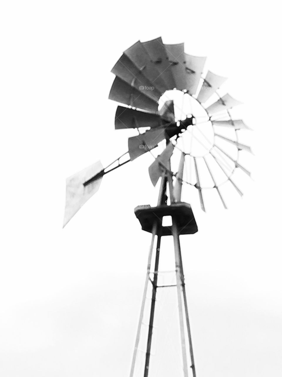 Texas windmill. 