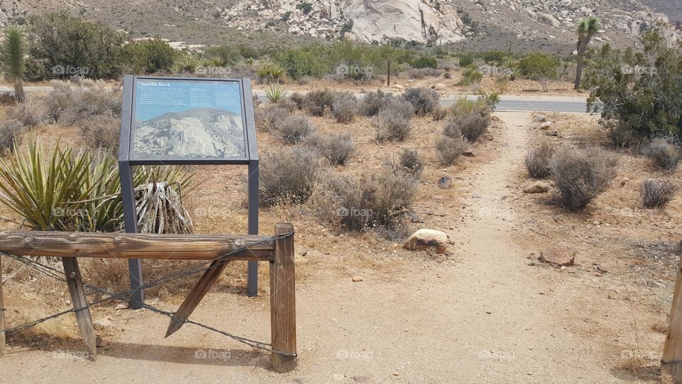there's something significant about this spot within the Joshua Tree Park