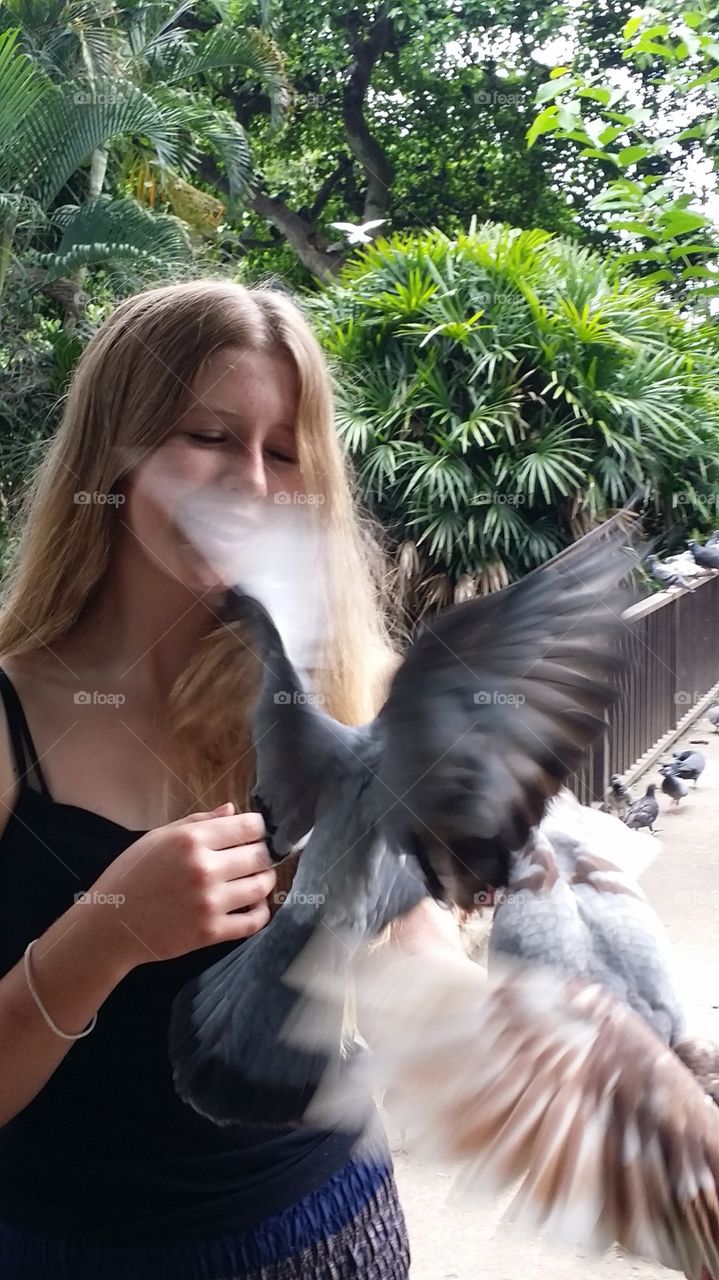 feeding Pigeon birds at the park