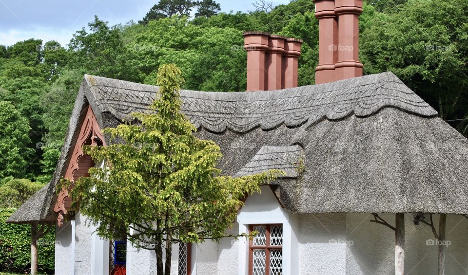 Thatched roof