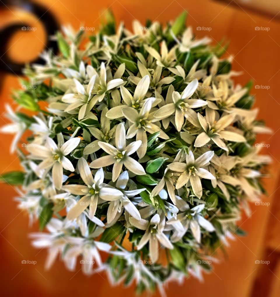 White spring bouquet 