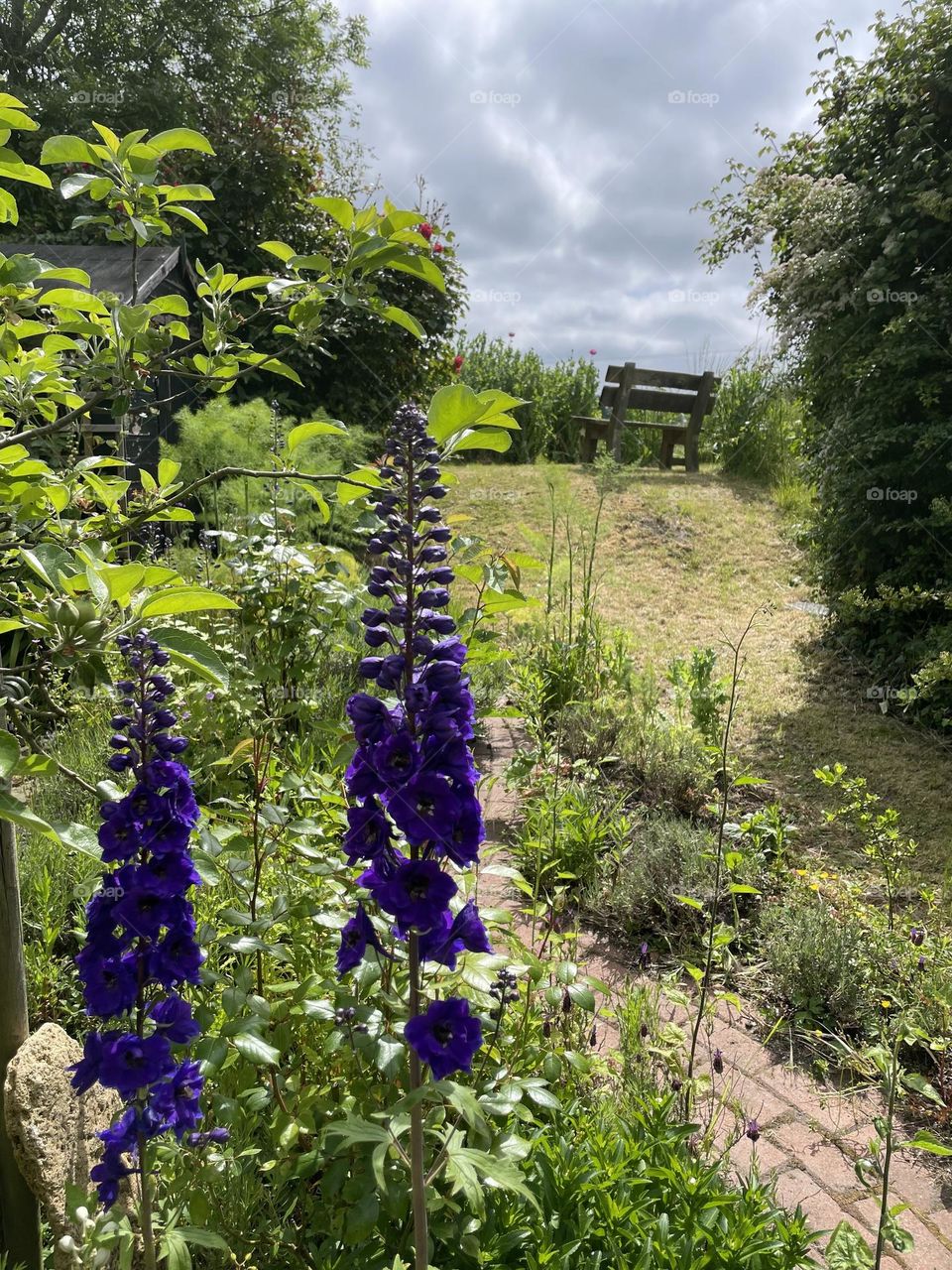 Bottom of a long garden .. high bank at the end with a seat to admire the glorious countryside views 💙