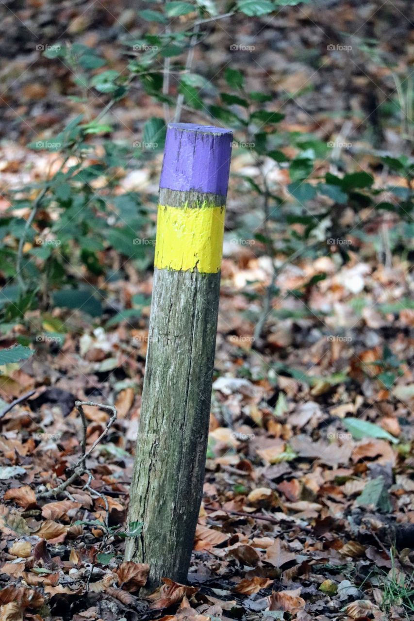 Pole forest Doetinchem 