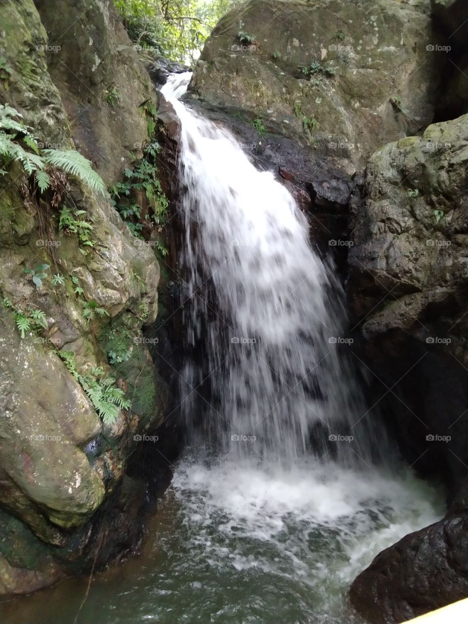 Trees, scenery, landscape, nature