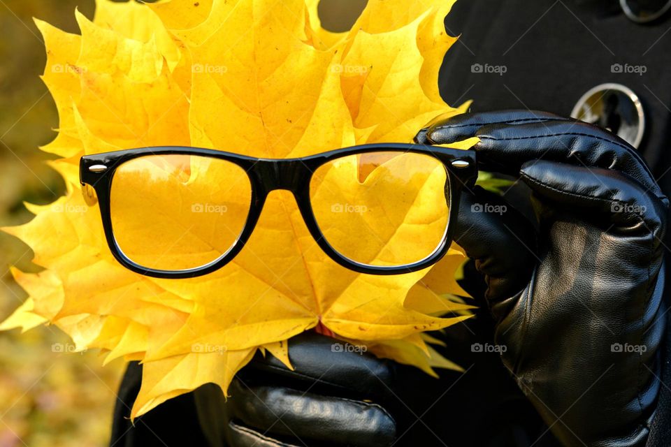 autumn leaves in the hands and glasses lifestyle