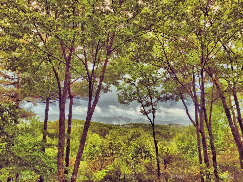 An atmospheric summer view through leafy green trees of the foothills of the Appalachian Mountains in North Georgia. 