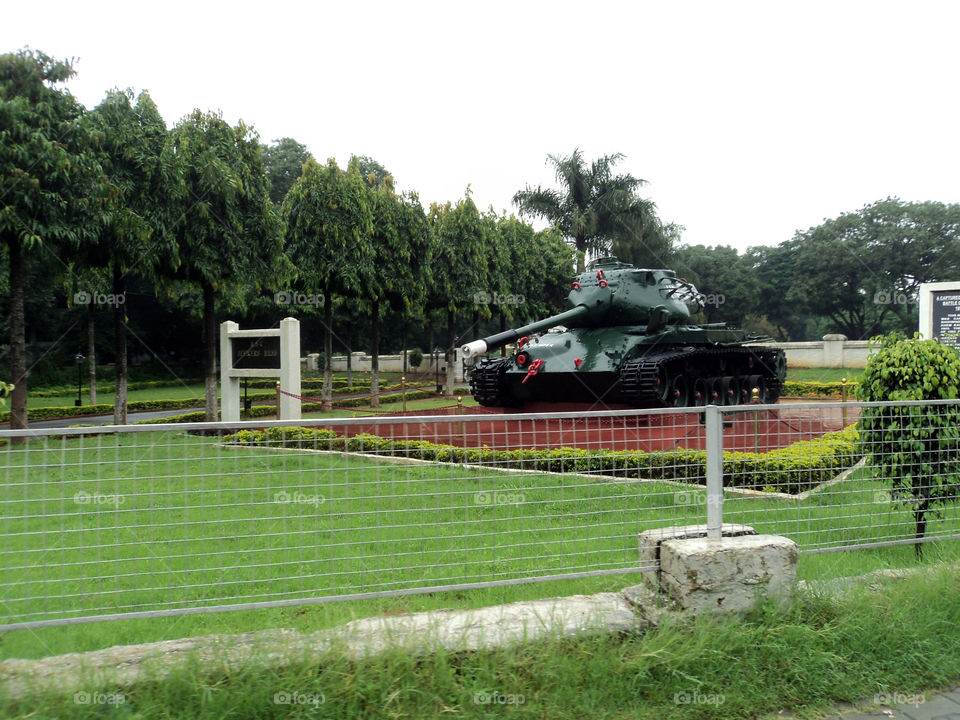 A symbol of strength and protection of a nation.