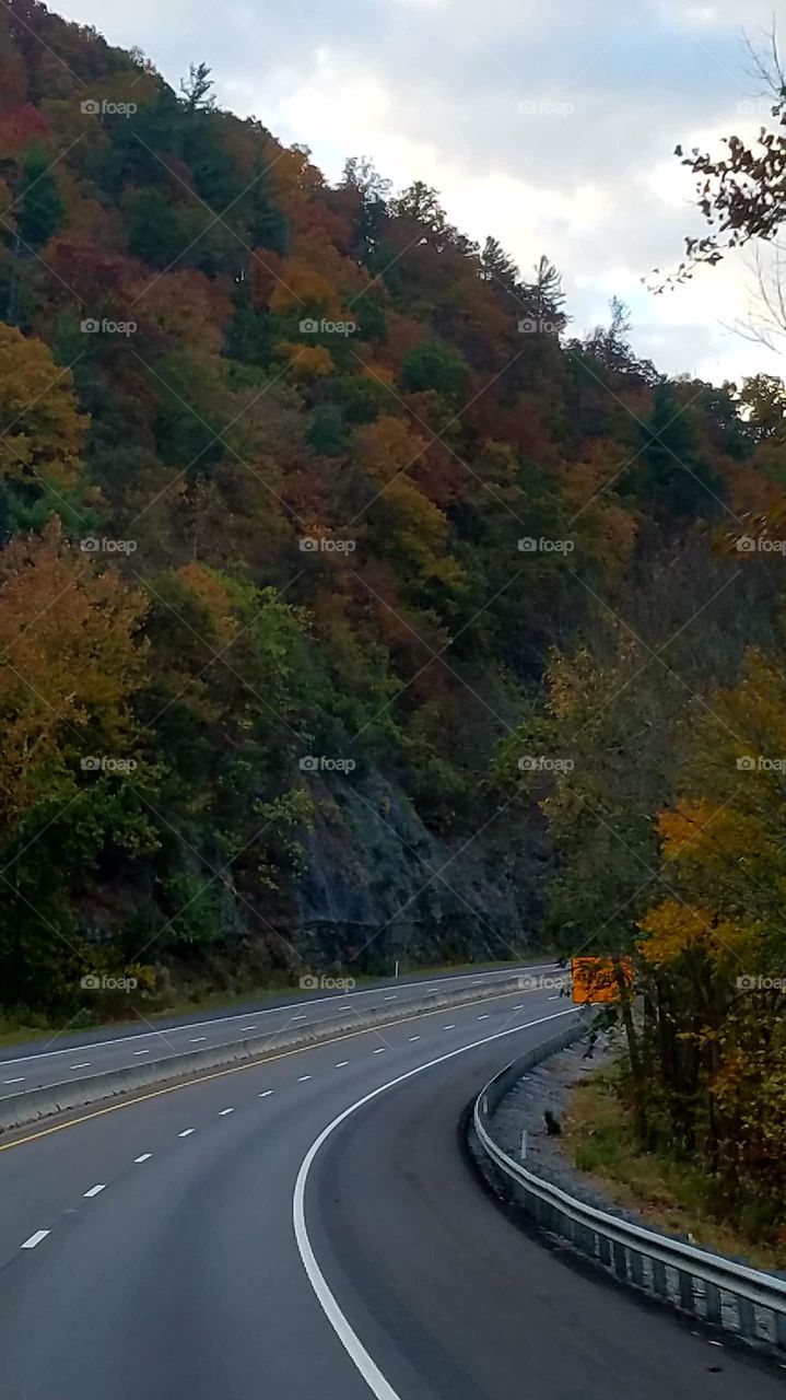 Pigeon River Gorge