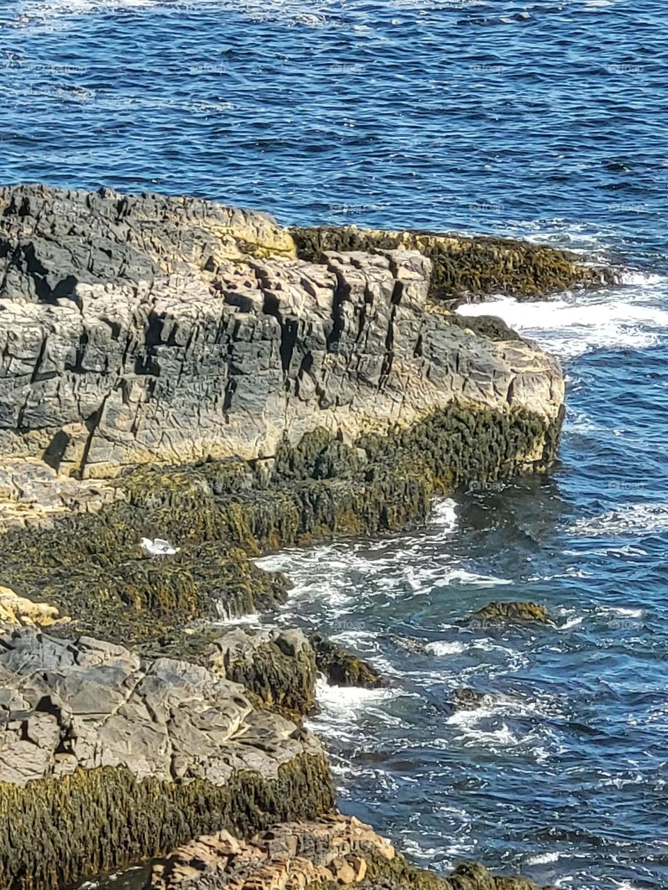 rocky shores