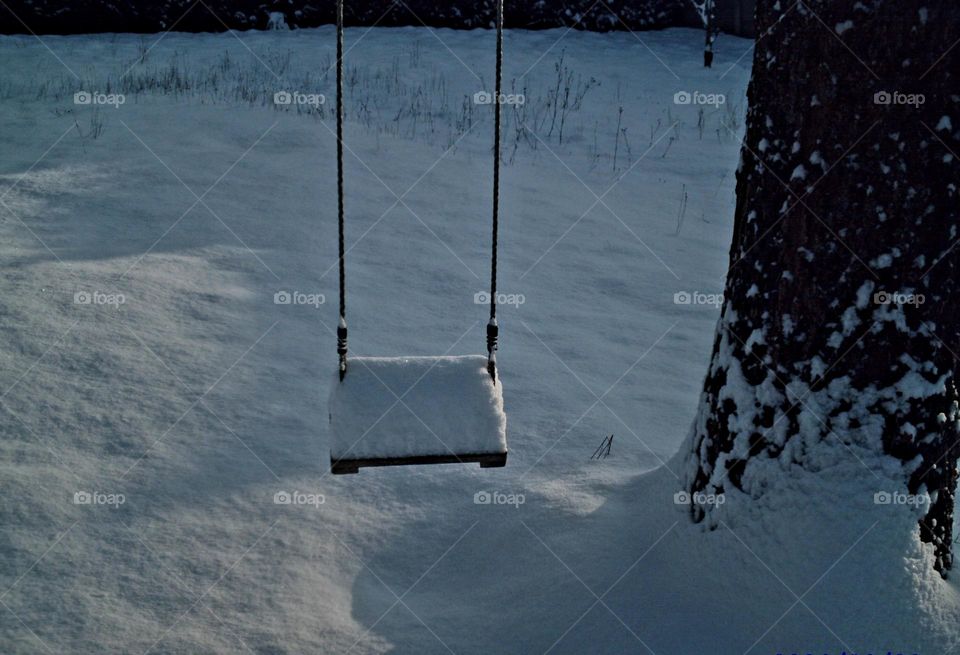 Snowy tree swing