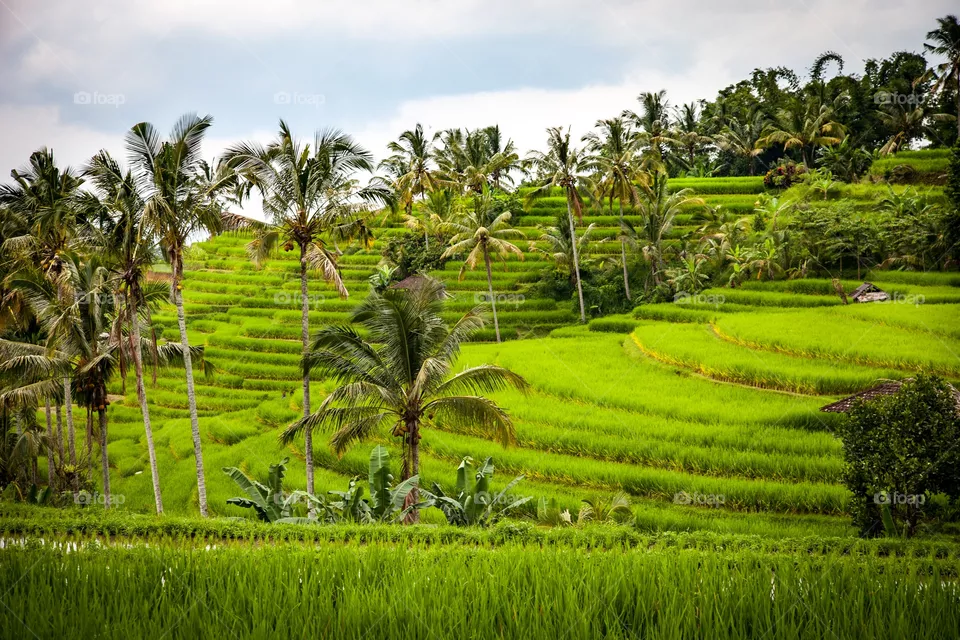 Beautifull view in indonesia