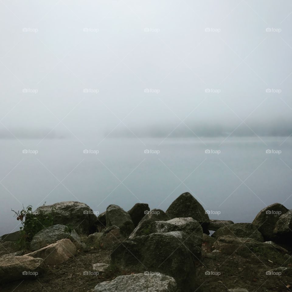 Foggy morning in New England.