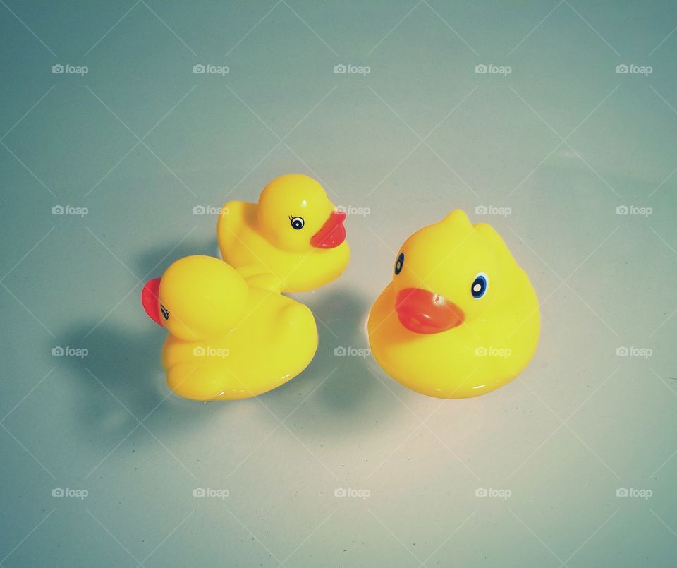 Rubber Duckies 2