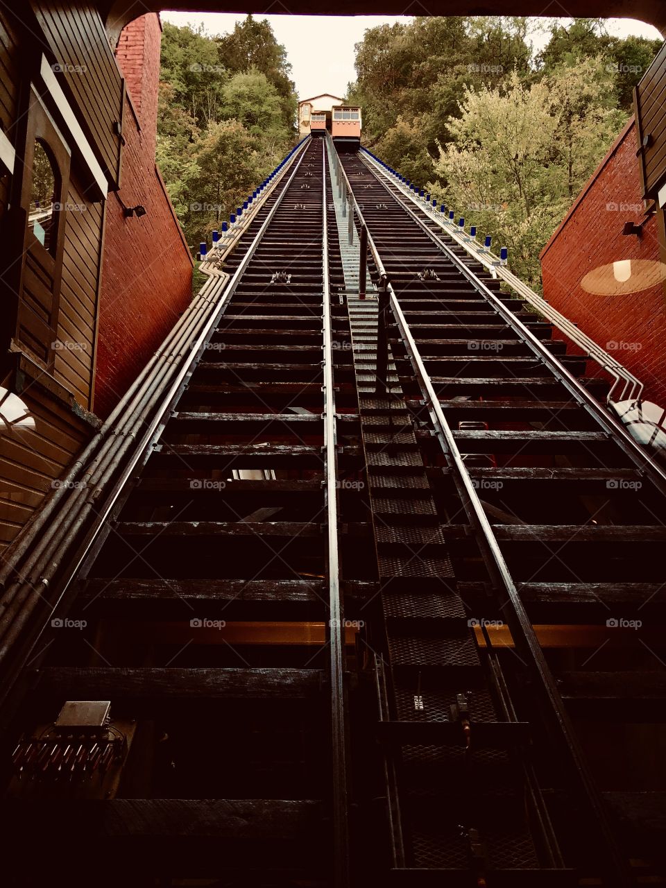 Things to do in the city 