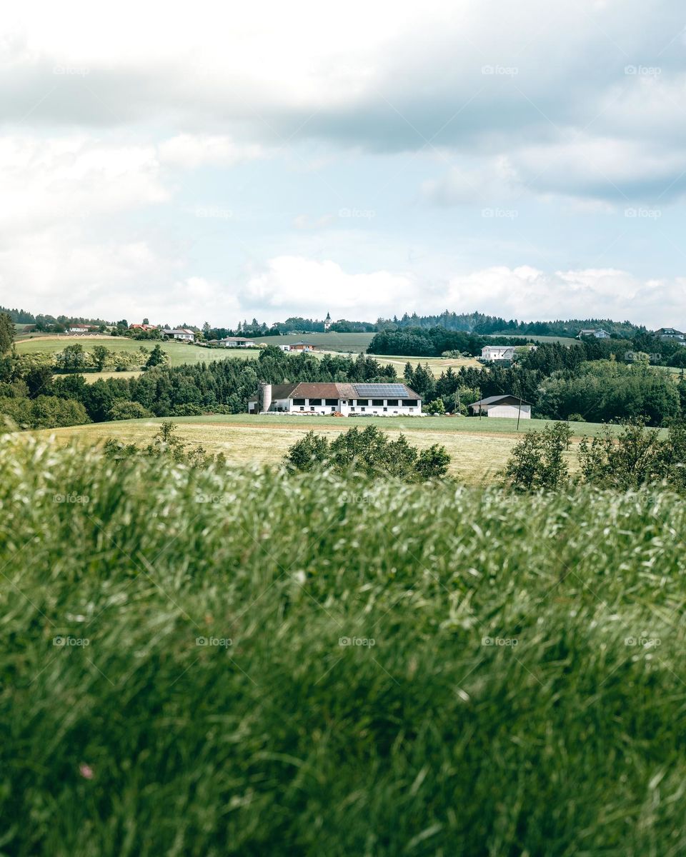 A farmhouse in the distance 