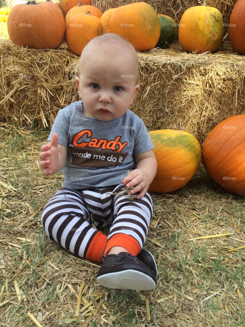 Pumpkin patch fun