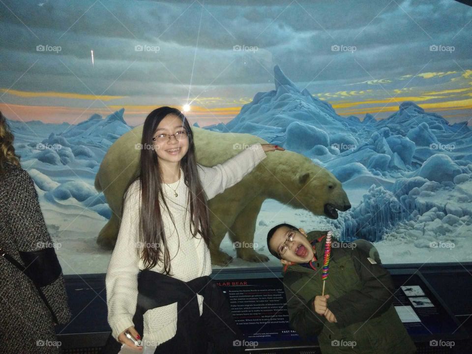Polar bear. museum
