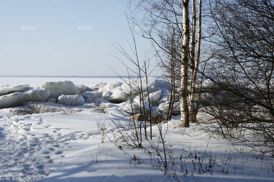 Winter Landscape 