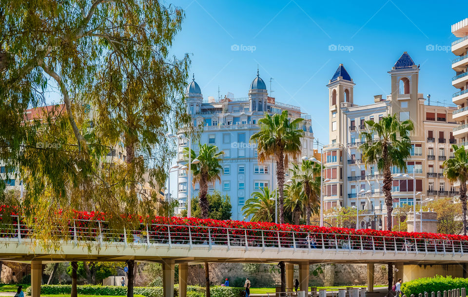 Pont de les Flors. Flowers Bridge across dry riverbed transformed into longest city park in Europe. Blooms are replaced 4 times a year to ensure it is always in bloom. Valencia. Spain.