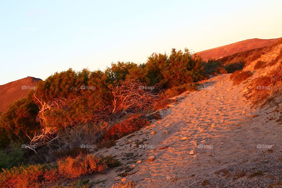 View of desert during sunset