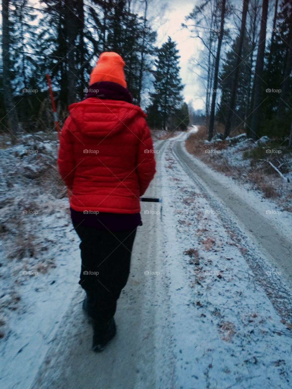 December day  in Sweden