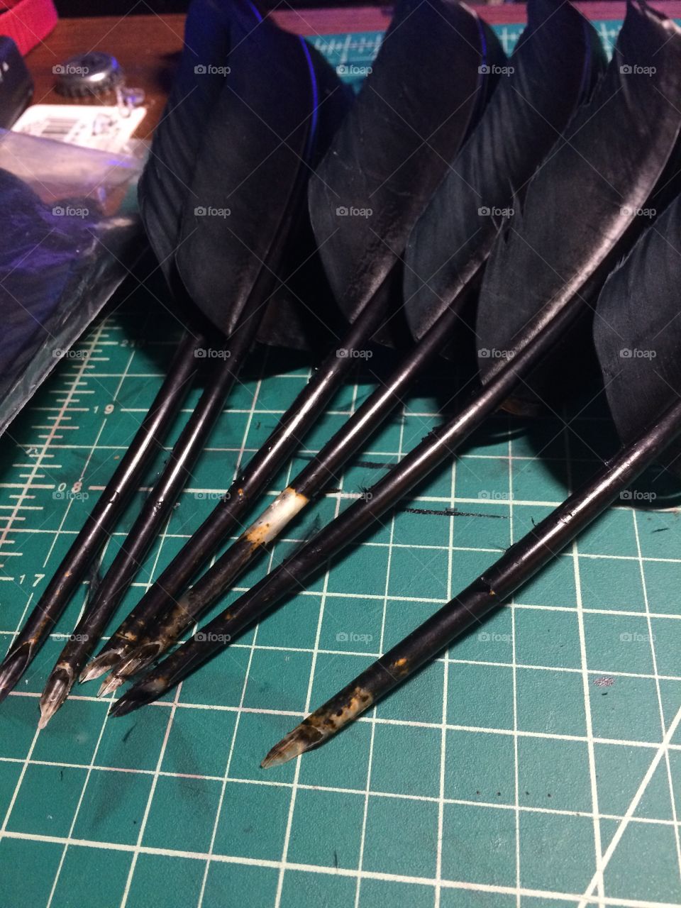 Black turkey wing feathers that have been cut into quill pens for calligraphy 