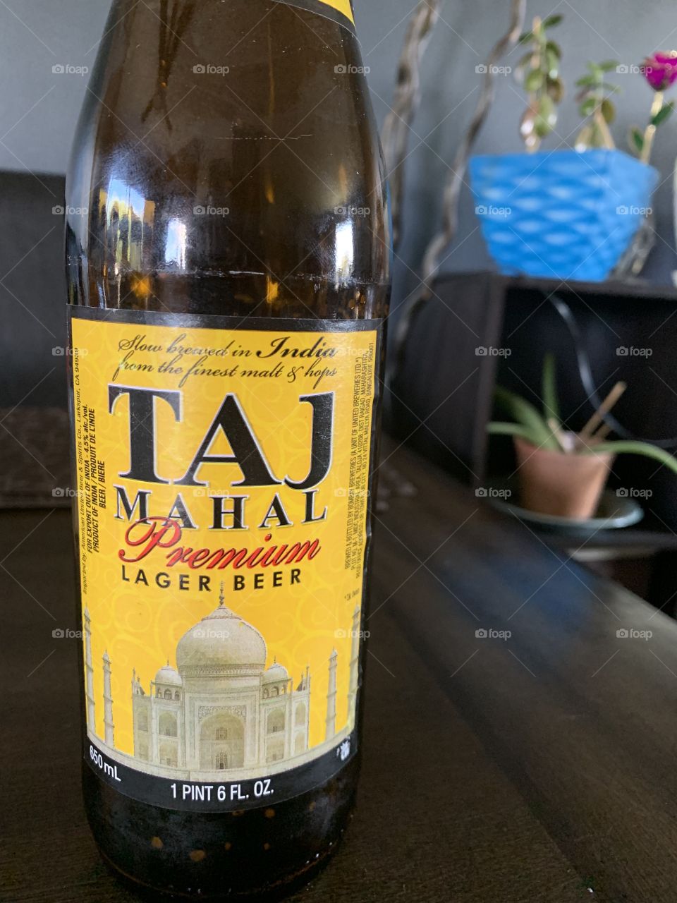 Taj Mahal beer 