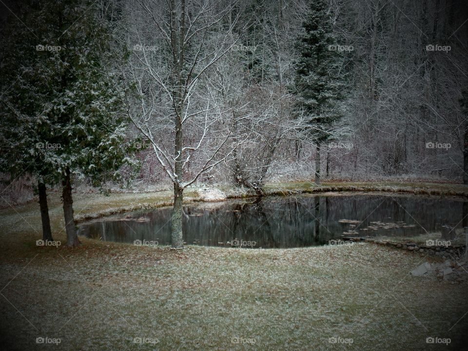 Northern Michigan 