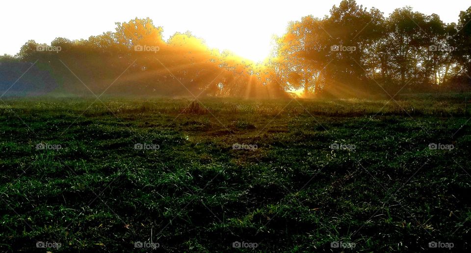 sun rays of a sunrise