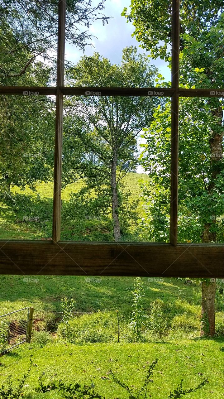 I know this looks fake but it really isn't. I took it on the back patio at my daughter's house.