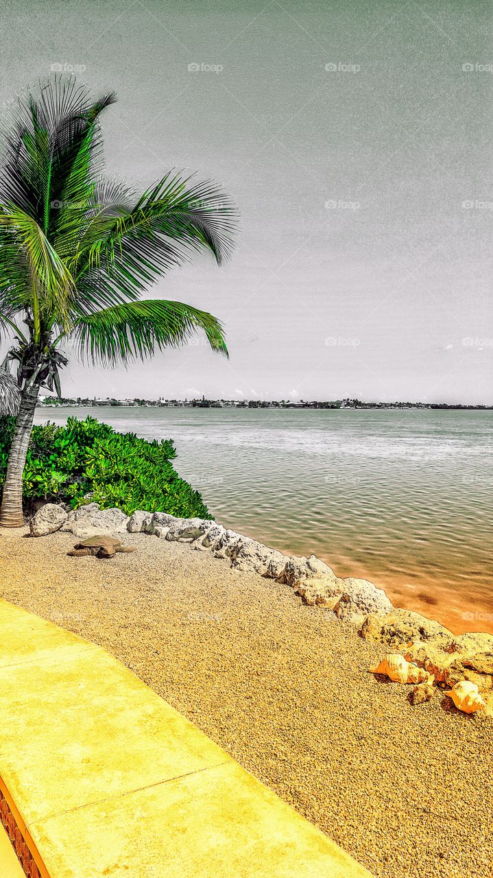 Little Torch Key, Florida Keys