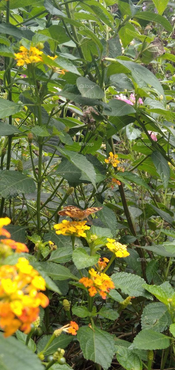 wonderful coincidence