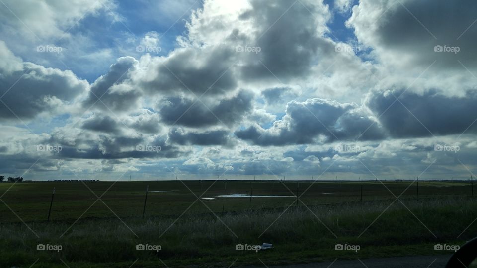 Cloudy field
