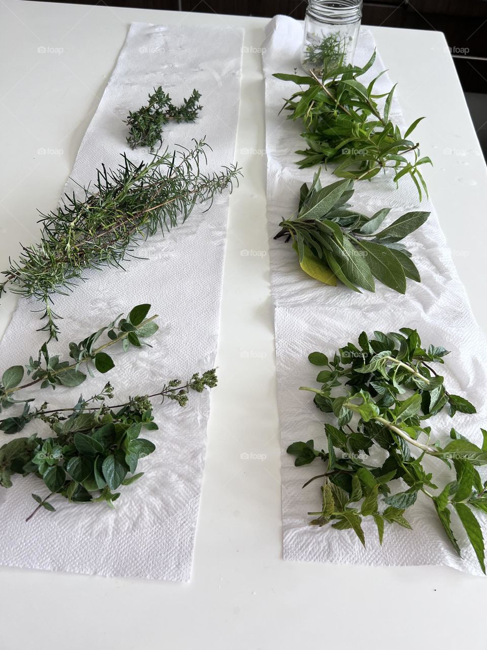 Hierbas medicinales del jardín 