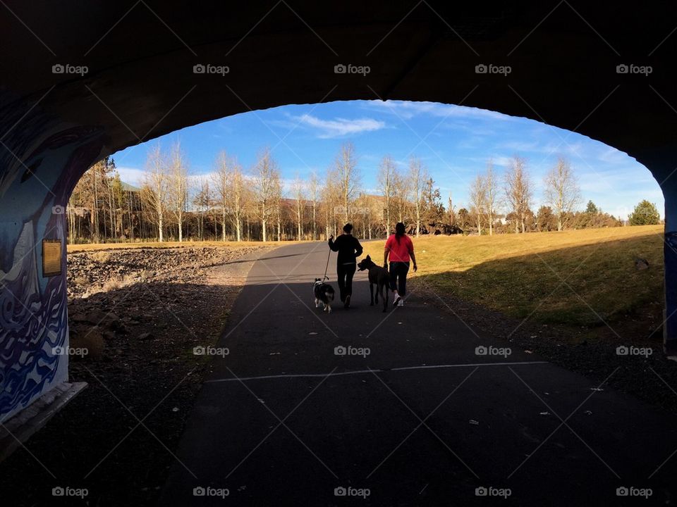 Emerging from the tunnel 