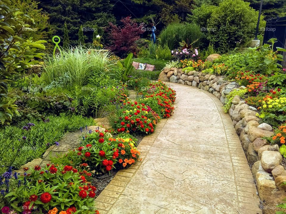 Rainbow Garden
