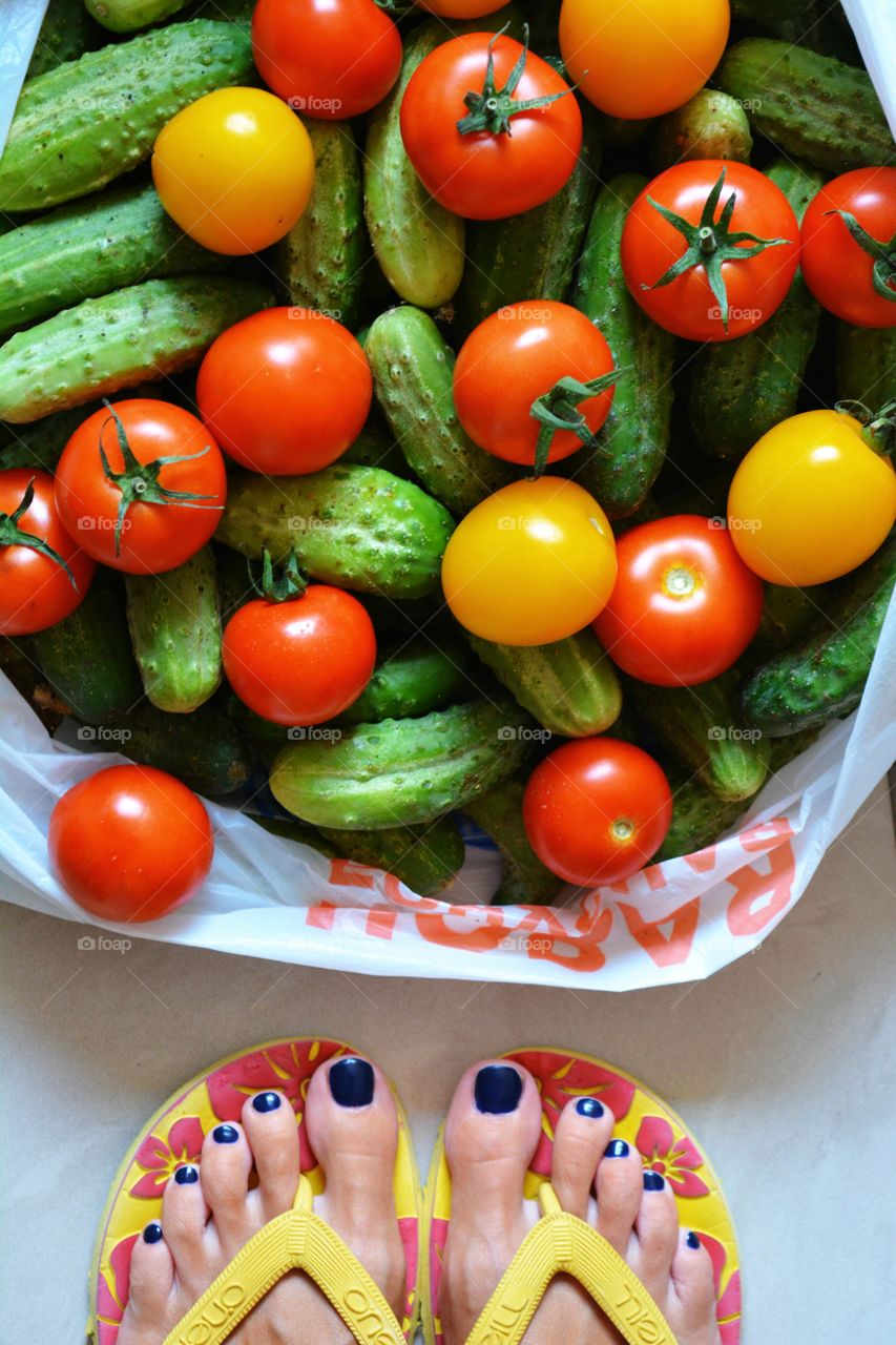 cucumbers and tomatoes harvest